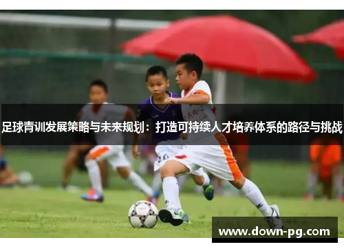 足球青训发展策略与未来规划：打造可持续人才培养体系的路径与挑战