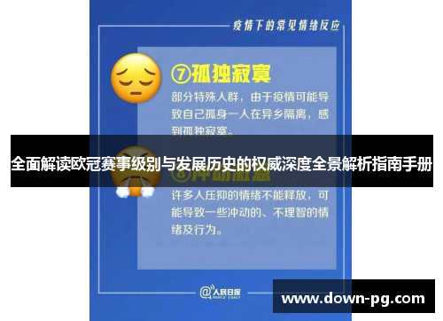 全面解读欧冠赛事级别与发展历史的权威深度全景解析指南手册