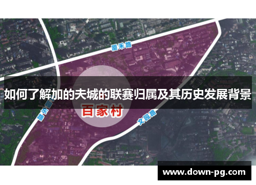 如何了解加的夫城的联赛归属及其历史发展背景