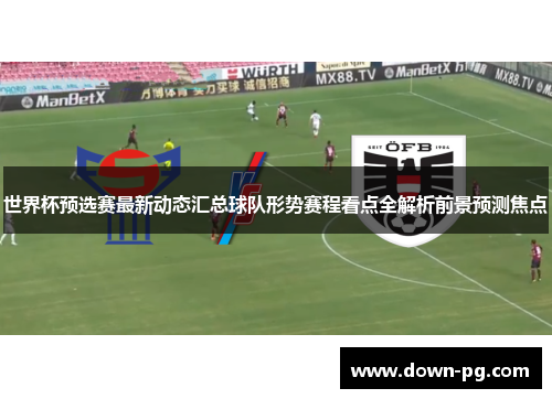 世界杯预选赛最新动态汇总球队形势赛程看点全解析前景预测焦点