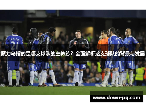 魔力鸟指的是哪支球队的主教练？全面解析这支球队的背景与发展