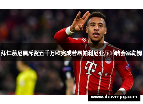 拜仁慕尼黑斥资五千万欧完成若昂帕利尼亚压哨转会富勒姆